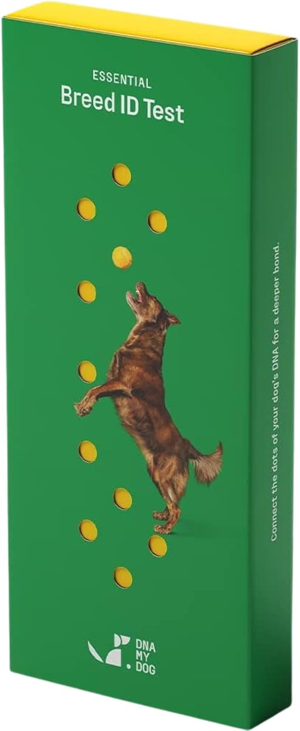 Dna My Dog Essential Breed ID Test – Accurate Mixed Breed Identification & Personality Insights with Easy Cheek Swab