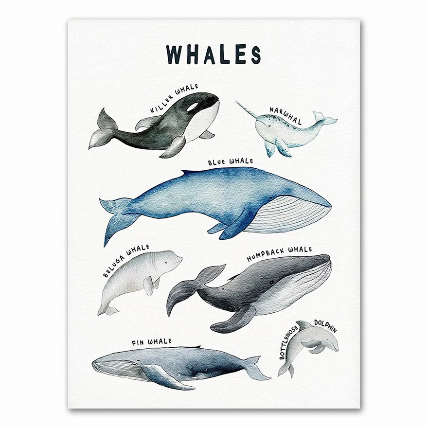 Watercolor Marine Animal Nursery Canvas Art Print