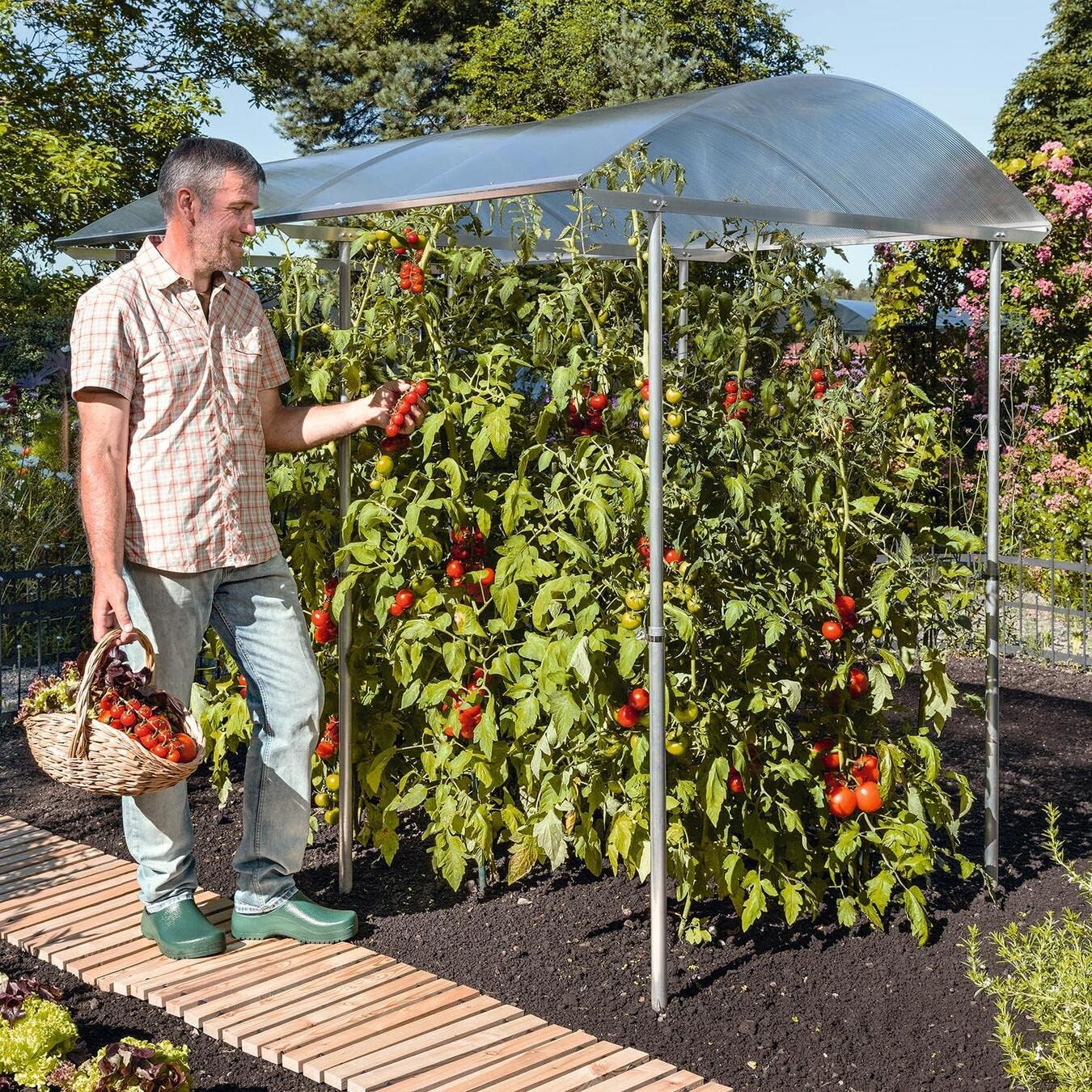Beckmann Schutzdach PSR2 für Tomaten & Gemüse (200 x 150 cm) – Höhenverstellbares Alu-Pflanzendach gegen Kraut- & Braunfäule – Hagelfeste 6mm Doppelstegplatten – Made in Germany