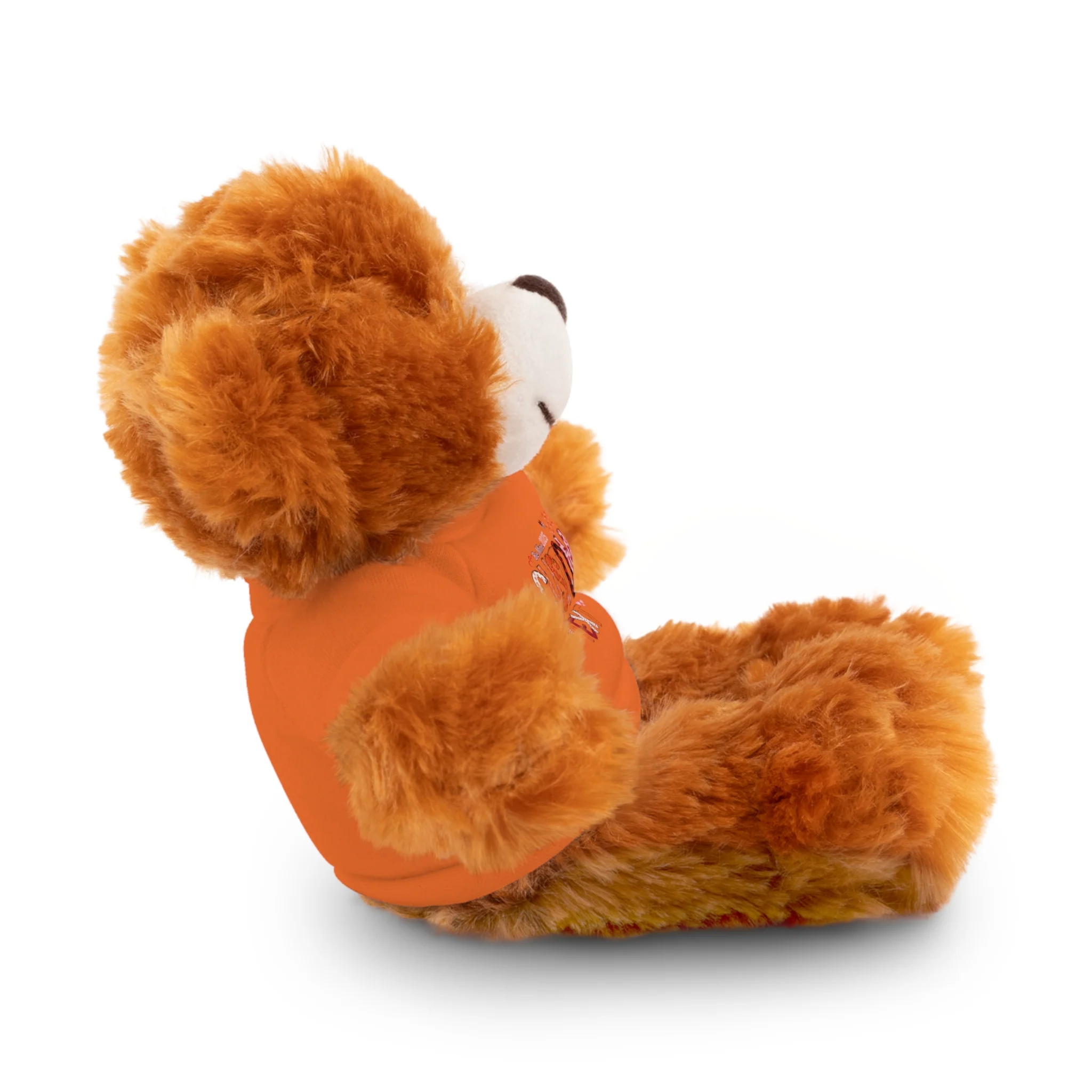 Stuffed Animals with Tee, Custom Text, Valentines Gift bear