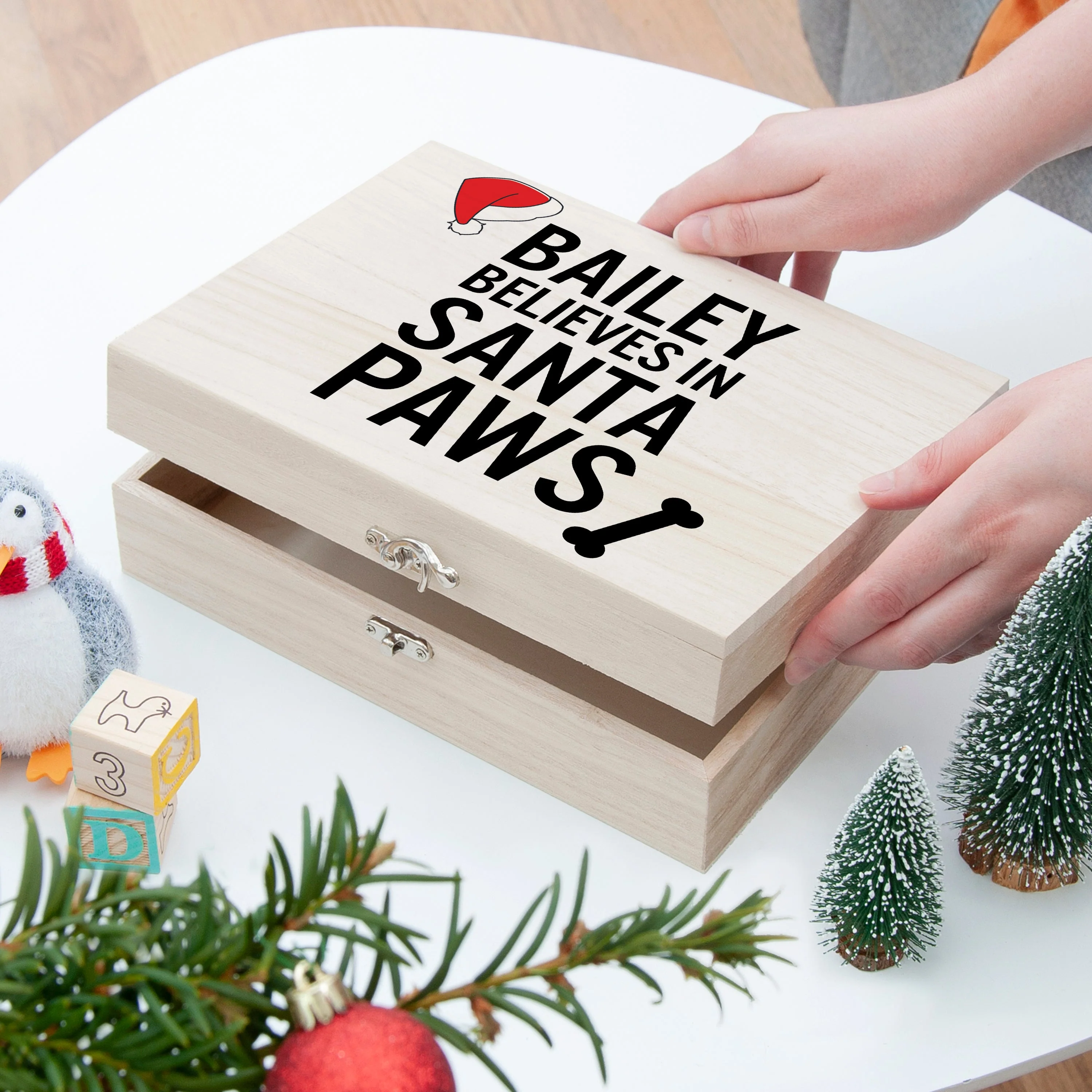Personalised Pets Santa Paws Christmas Eve Box