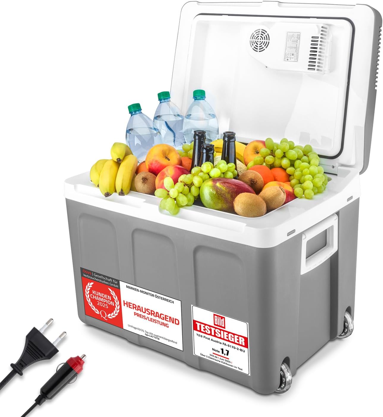 TZS First Austria - Kühlbox 45L elektrisch 12V 230V Anschluss für Auto & Steckdose - Thermoelektrische Cool Box kühlt & wärmt - Mini Kühlschrank mit Rollen - Für Camping, Festivals, Reisen - Grau