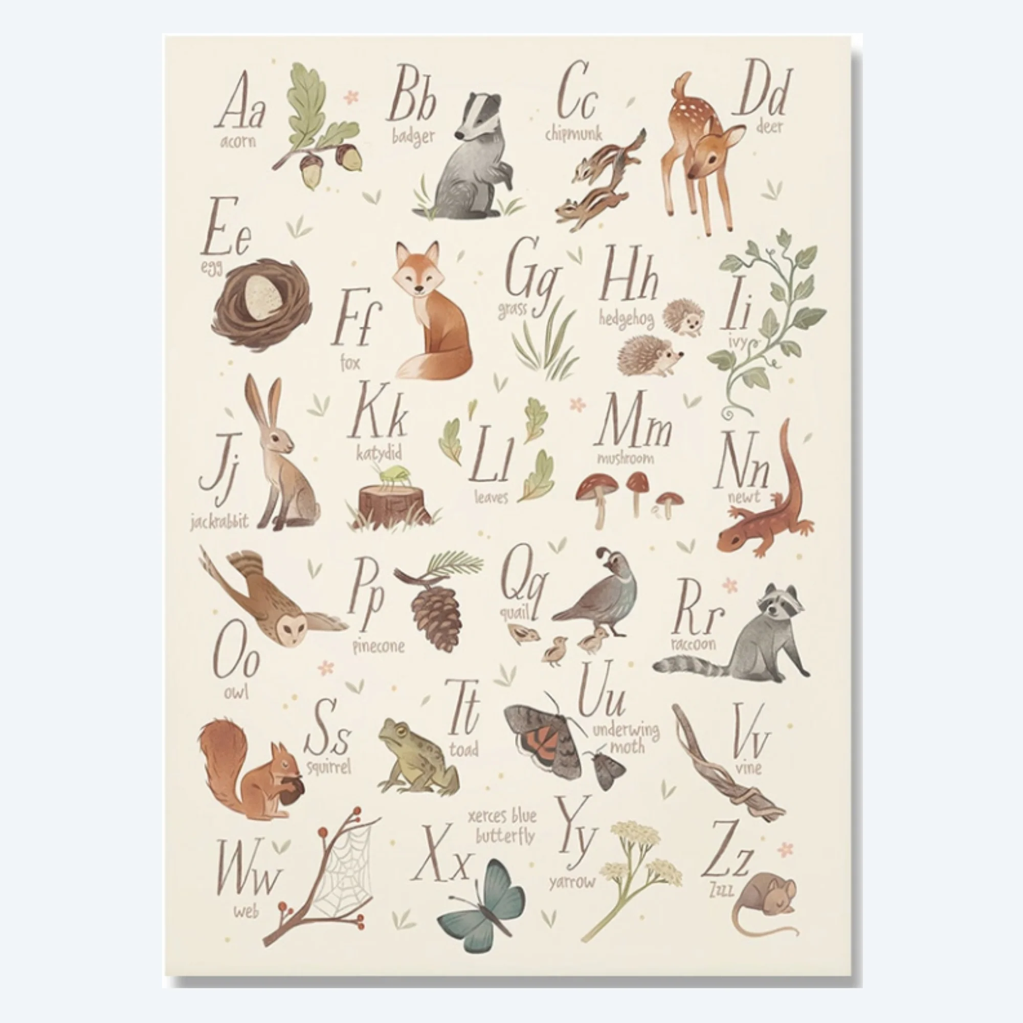 Woodland Alphabet and Numbers Canvas Print for Baby Nursery