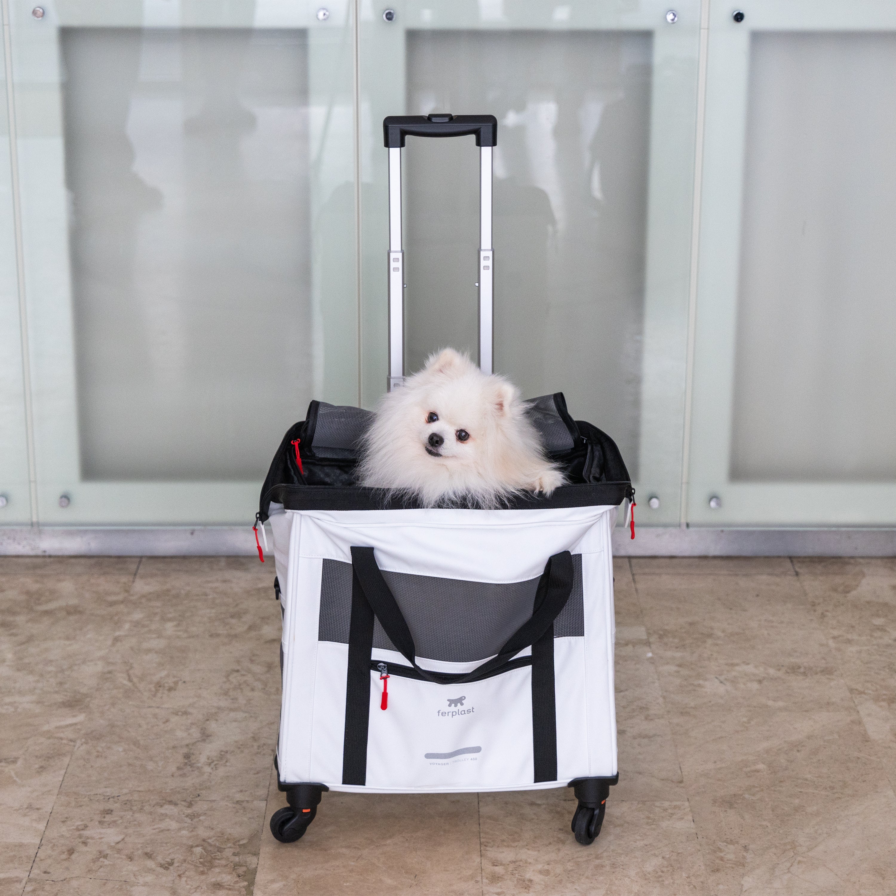 2025 Voyager Trolley van Ferplast �C stijlvolle, lichte trolley van kunstleer voor katten en kleine honden tot 15 kg. Met wieltjes, gaasramen en veiligheidsriem �C perfect voor comfortabel reizen.