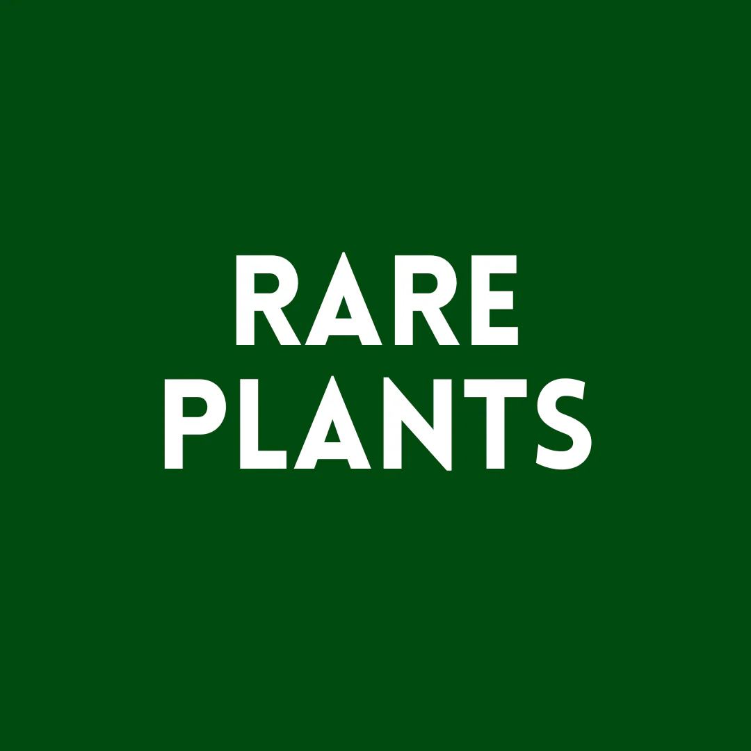 Rare Plants