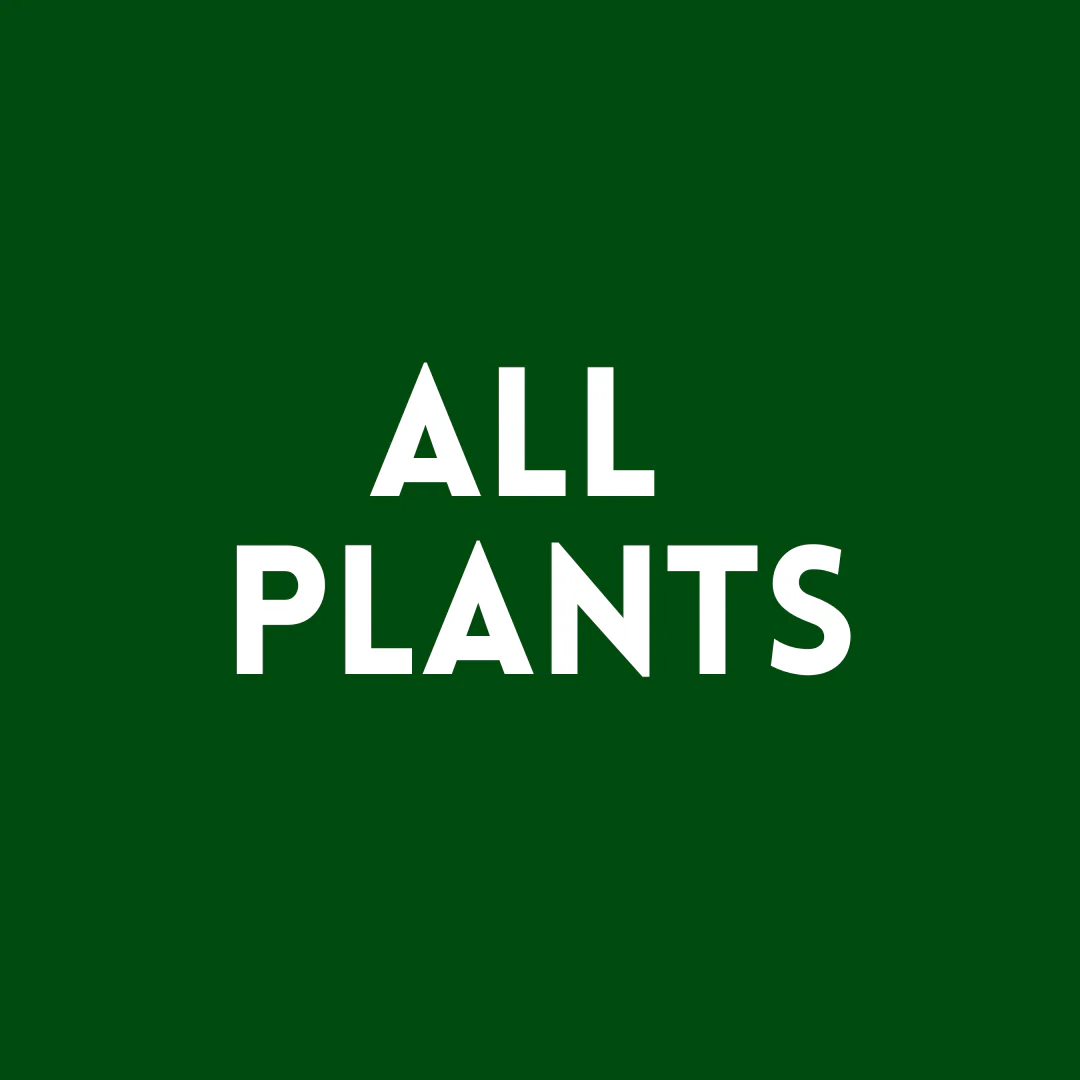 all plants