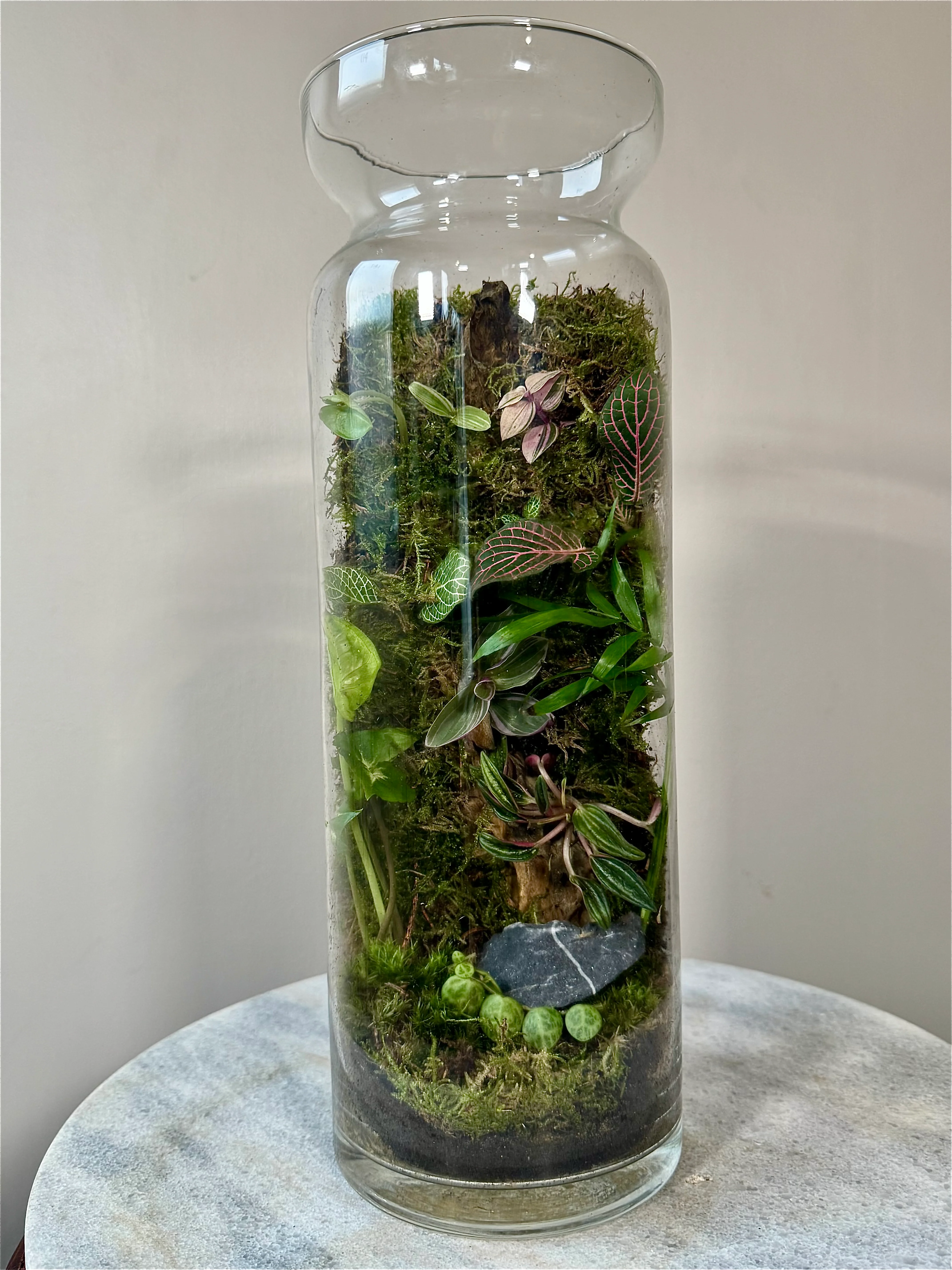 Tall Glass Moss Terrarium