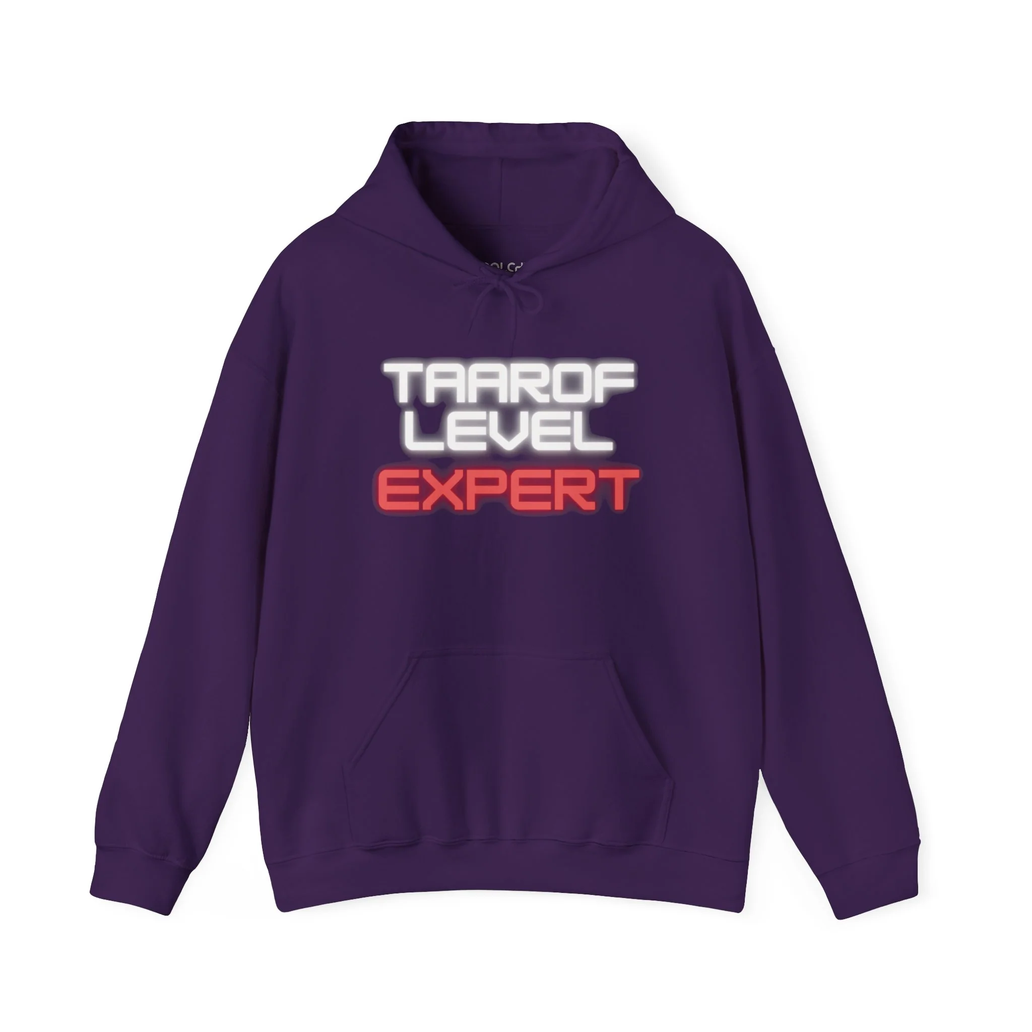 Taarof Level Expert Hoodie