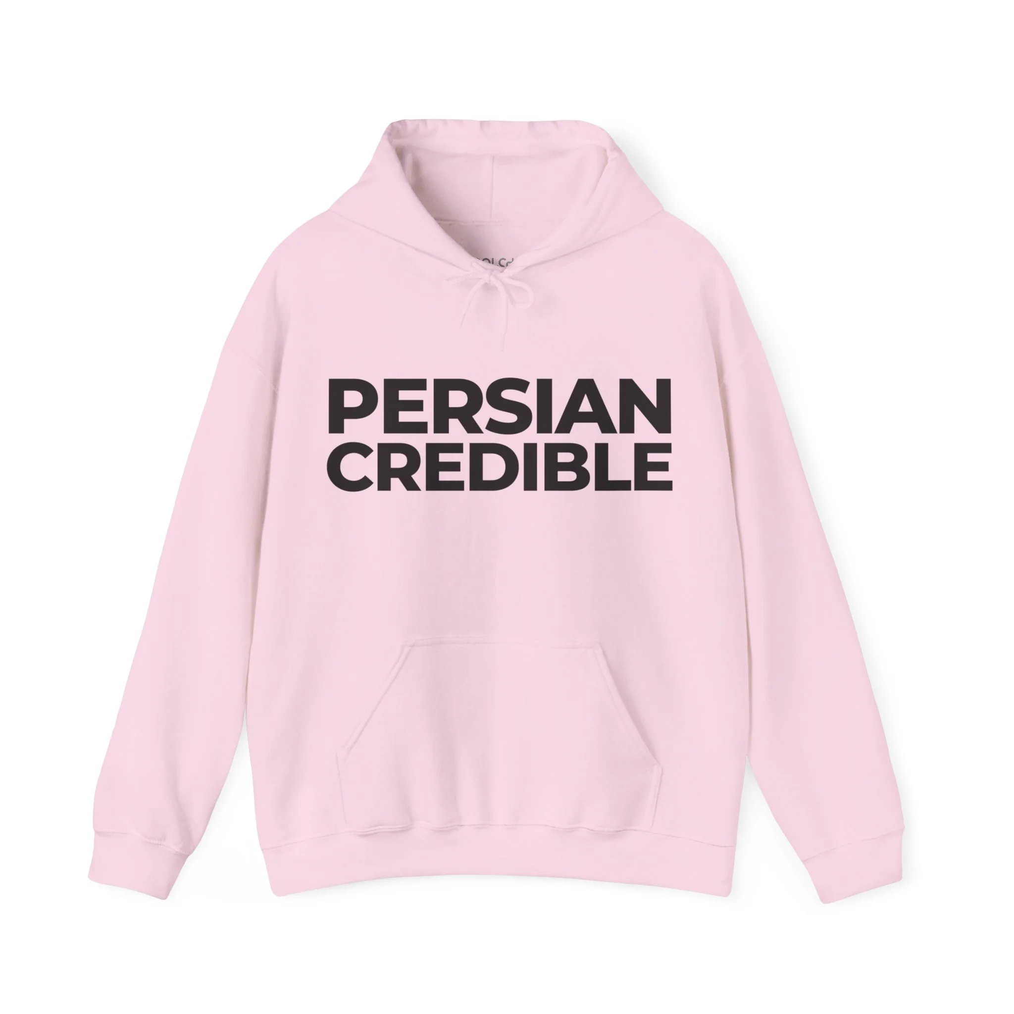 Persiancredible Hoodie