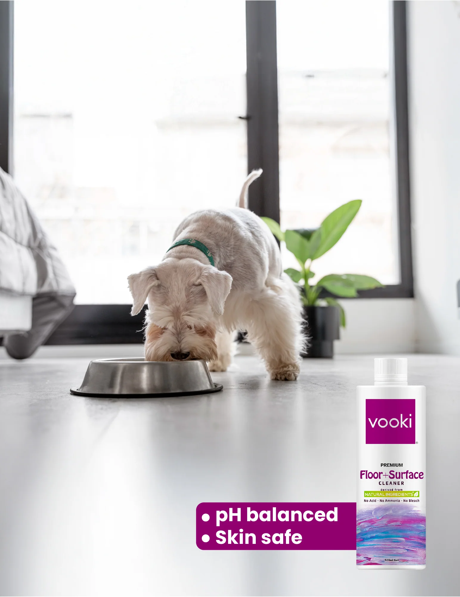 Floor Cleaner Liquid - Pack Of 2