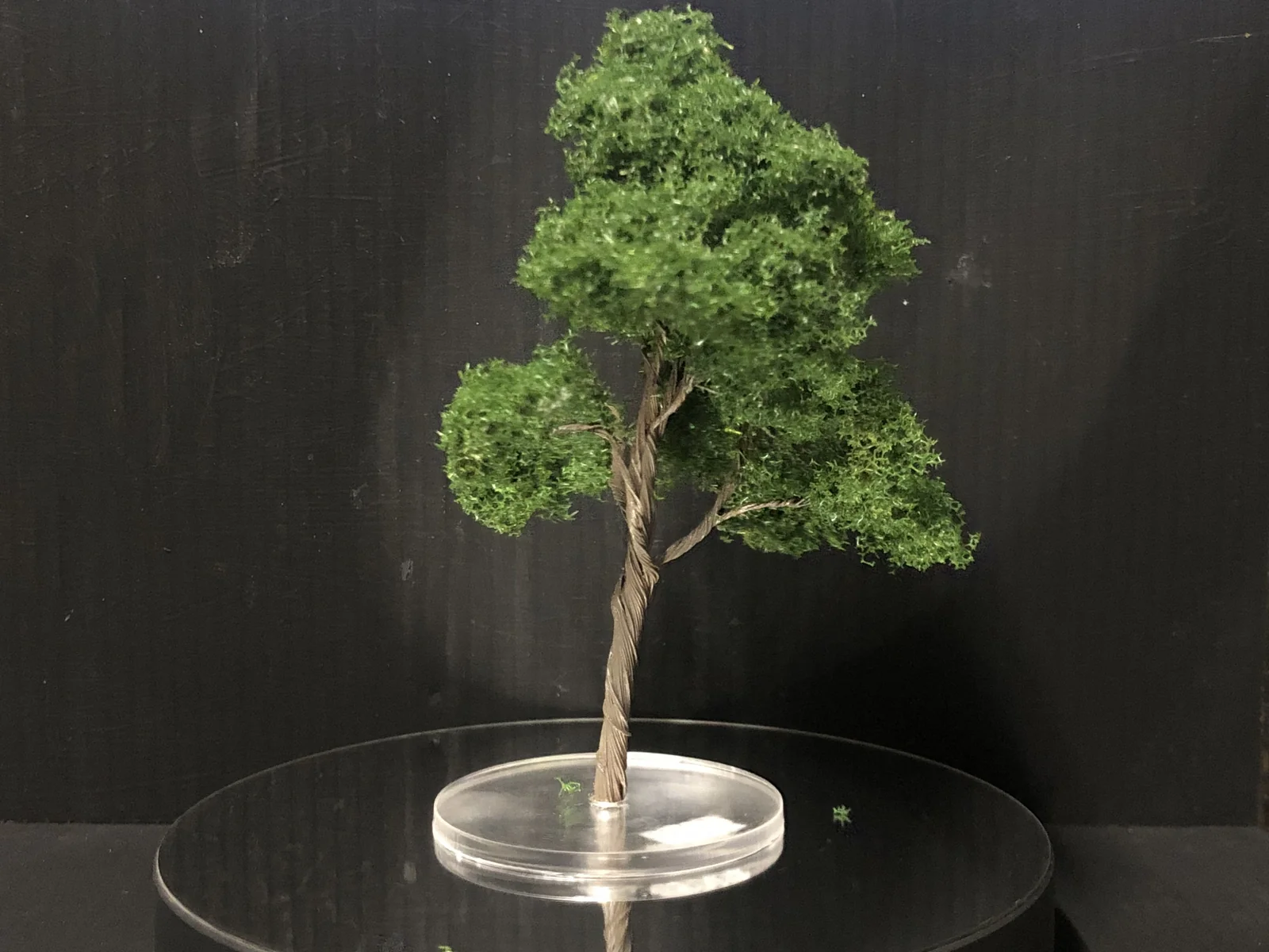 OO / OO9 / NG7 / ON30 Model Tree  - wire armature - 100mm tall
