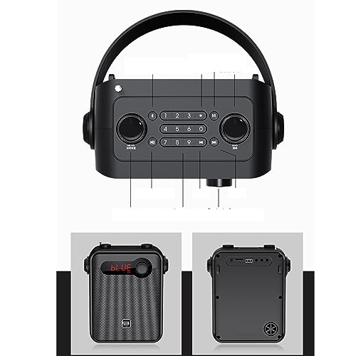 ROUZIHU Altoparlante H8 Amplificatore vocale Portatile Microfono Registrazione Audio Radio FM Altoparlante Scheda TF : Strumenti Musicali