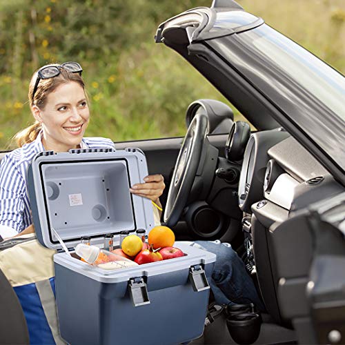 HHXX Mini frigo Bar con, Frigorifero, per Alimenti/Bevande/Cosmetici/insulina/Viaggi/Picnic : Amazon.it: Grandi elettrodomestici