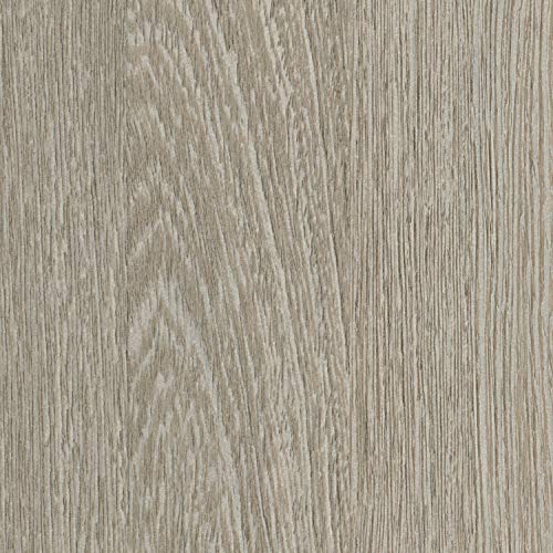 sera Mobile Base 100 cm con Anta Silver Oak per Scaper Cube : Amazon.it: Prodotti per animali domestici