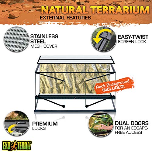 Exo Terra PT2613 Terrario in Vetro 90X45X45 Cm Inclusa Parete Posteriore : Amazon.it: Prodotti per animali domestici