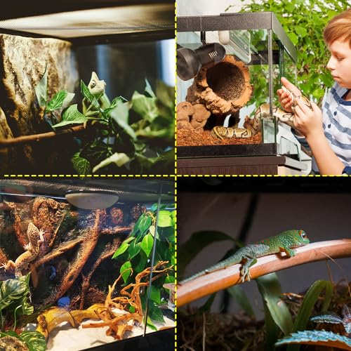 NEPTONION Terrario professionale in vetro da 30,5 x 30,5 x 45,7 cm, per rettili, con telaio in lega di alluminio resistente al calore, doppie porte frontali a battente per evitare inceppamenti, sabbia : Amazon.it: Prodotti per animali domestici