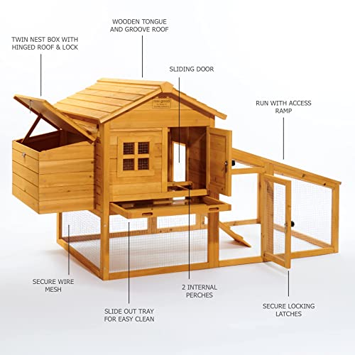 Pollaio Feel Good UK NCH10 L GOLDEN, ad arco, dotato di vaschetta a scorrimento per facilitare la pulizia e meccanismo di bloccaggio. : Amazon.it: Commercio, Industria e Scienza