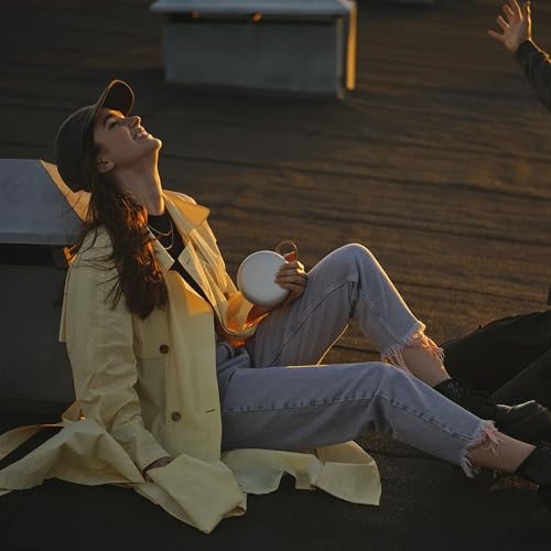 Bang & Olufsen Beosound A1 (2a Generazione)   Speaker Bluetooth Portatile Premium Impermeabile IP67, Suono a 360 Gradi, Assistente Vocale Alexa, Vivavoce, Batteria di 18 Ore   Grigio Nebbia : Elettronica
