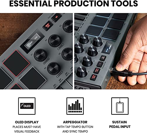 AKAI Professional Mini M Audio HDH40