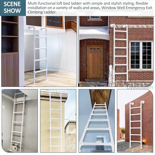 MKLSRWOING Scala Dritta per finestre a 5 10 pioli, Altezza 4 Piedi, 5 Piedi, 6 Piedi, 7 Piedi, 8 Piedi, Scala di Uscita d'ingresso, Scala antincendio in Ferro battuto per impieghi gravosi o s : Amazon.it: Fai da te