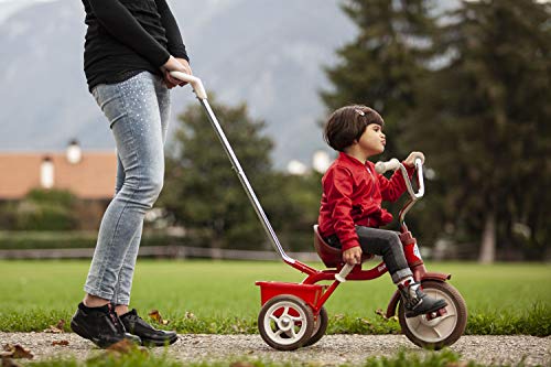 Italtrike   Triciclo Passenger da 1 a 5 anni : Giochi e giocattoli