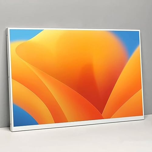 Monitor LCD Schermo a 13.5 pollici Costruito In Altoparlanti Risoluzione 2256x1504 Native3 2 Aspect Ratio EDP 40Pins Display LCD Bianco Esposizione LCD a 13,5 pollici : Informatica