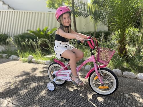 PROMETHEUS BICYCLES bicicletta bambina 4 anni bici per bambini bici bambina 14 pollici bimba con rotelle e freno contropedale Rosa : Sport e tempo libero