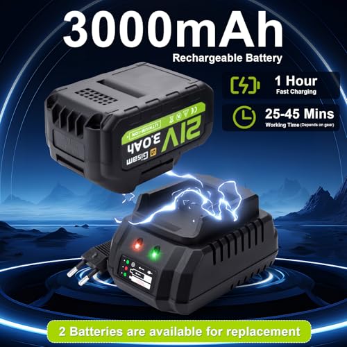 Soffiatore Batteria Gisam Elettrico Spazzole
