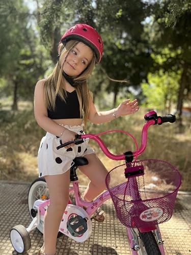 PROMETHEUS BICYCLES bicicletta bambina 4 anni bici per bambini bici bambina 14 pollici bimba con rotelle e freno contropedale Rosa : Sport e tempo libero