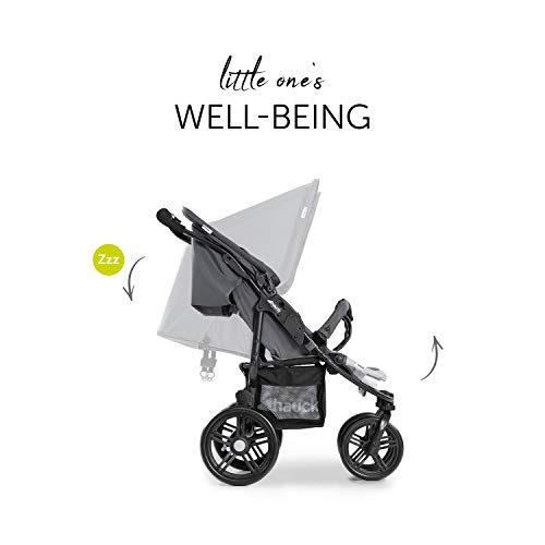 hauck Roadster Duo SLX Passeggino Gemellare   Passeggino Doppio Dalla Nascita Fino a 30 kg, Compatibile con Navicella Morbida 2in1   Pieghevole, Compatto   Grigio, Argento : Amazon.it: Prima infanzia