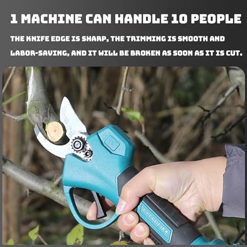 Sega Ad Asta a Batteria 3 in 1, Sega per Rami Alti con Motosega Senza Spazzole, Cesoia da Potatura, Asta Telescopica da 2 M, Batteria e Caricabatterie Inclusi per Potatura di Alberi da Giardino : Amazon.it: Giardino e giardinaggio