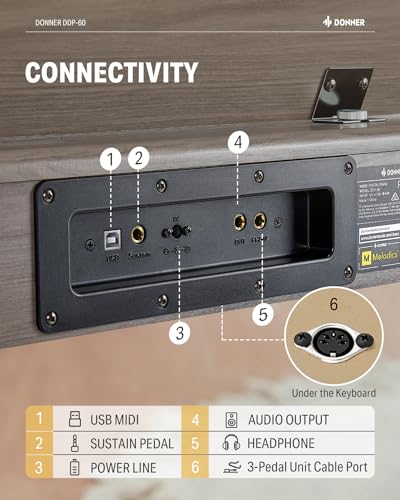 Donner DDP 60 Pianoforte digitale a 88 tasti per principianti, tastiera elettrica con tasti sensibili alla velocità, 128 voci, 83 ritmi, 8 effetti di riverbero, 5 curve di intensità, grigio : Amazon.it: Strumenti Musicali