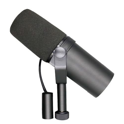 Microfono Broadcast dinamico Frequenza Applicazioni