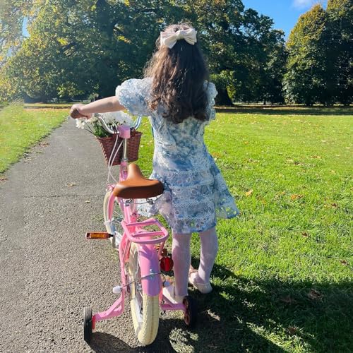 STITCH MANCHI Bicicletta per bambini da 12 pollici con cestino e stabilizzatore, bicicletta per bambine da 3 4 anni, rosa… : Sport e tempo libero