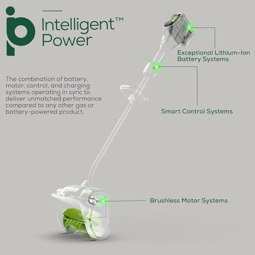 Spazzaneve Elettrico da 1200 W, Pala da Neve Senza Fili Portatile da 1800 Giri/min con 2 batterie, manufatto per sgombero Neve da 8 m, direzione Regolabile, Piccolo spazzaneve Ricaricabile per Strade : Amazon.it: Giardino e giardinaggio