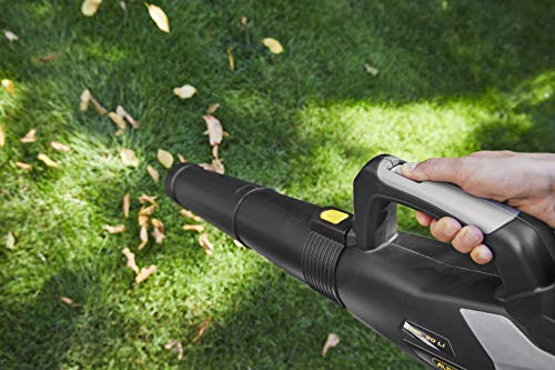 Alpina Soffiatore a Batteria ABL 20 Li Kit, per un Giardino Pulito e in Ordine, Batteria 20V (4 Ah), 280 W,Tubo Rimovibile Salvaspazio, Batteria e Caricabatteria incl. : Amazon.it: Giardino e giardinaggio