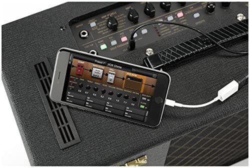 VOX VT20X 20W Nero altoparlante : Strumenti Musicali