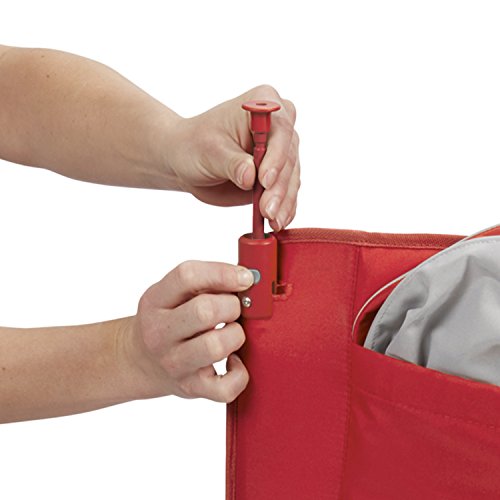 Radio Flyer EZ Wagon with Canopy, Folding Trolley : Amazon.it: Giochi e giocattoli