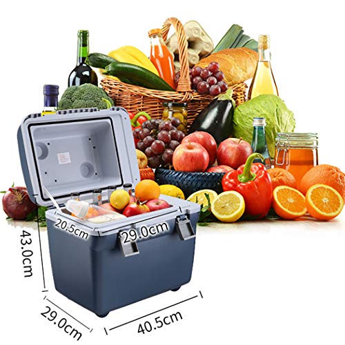 HHXX Mini frigo Bar con, Frigorifero, per Alimenti/Bevande/Cosmetici/insulina/Viaggi/Picnic : Amazon.it: Grandi elettrodomestici