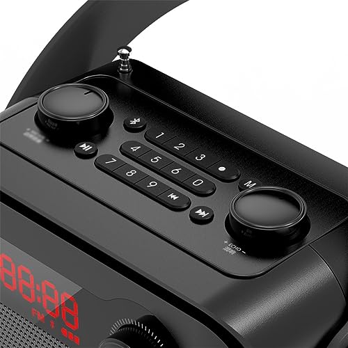 ROUZIHU Altoparlante H8 Amplificatore vocale Portatile Microfono Registrazione Audio Radio FM Altoparlante Scheda TF : Strumenti Musicali