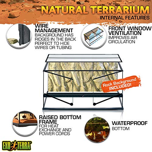 Exo Terra PT2613 Terrario in Vetro 90X45X45 Cm Inclusa Parete Posteriore : Amazon.it: Prodotti per animali domestici