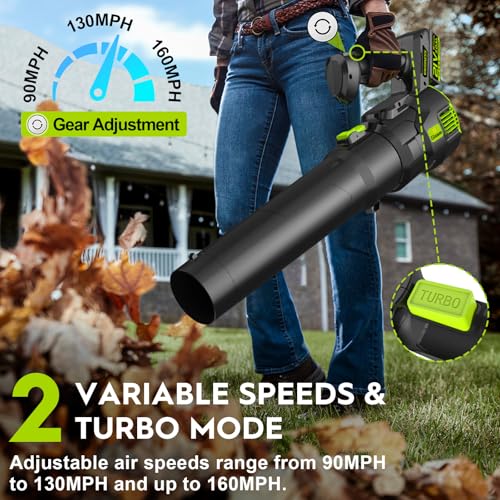 Soffiatore Batteria Gisam Elettrico Spazzole