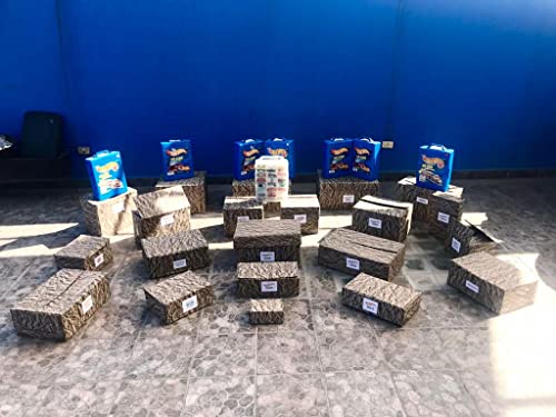 Hot Wheels 2010 076/240 HW Garage 8/10 Ferrari 330 P4 Keys to Speed Instant Win Card Blue 1:64 Scale : Giochi e giocattoli