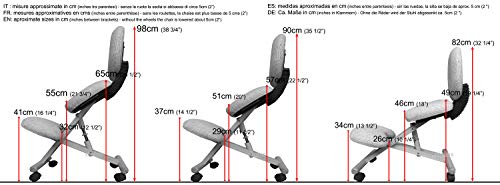 cinius Sedia ergonomica con Schienale, Varie colorazioni (Naturale), telaio in legno : Amazon.it: Casa e cucina