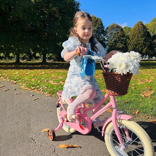 STITCH MANCHI Bicicletta per bambini da 12 pollici con cestino e stabilizzatore, bicicletta per bambine da 3 4 anni, rosa… : Sport e tempo libero