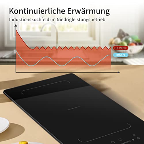 GIONIEN Piano cottura a induzione a 2 zone con spina,30 cm Domino piano cottura elettrico, doppia piastra a induzione con zone flessibili,sicurezza bambini, timer,16A, 2800W : Amazon.it: Grandi elettrodomestici