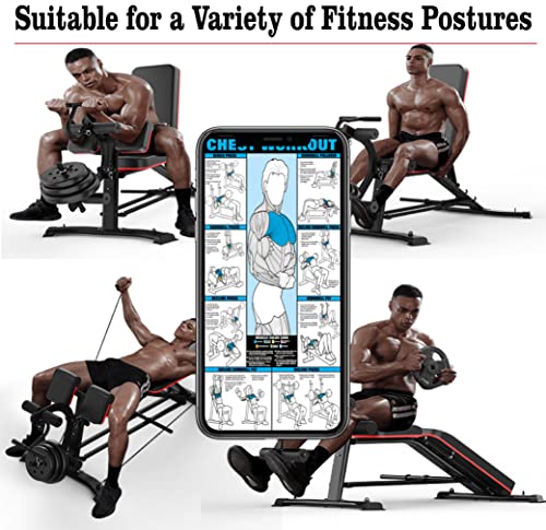 Panca pesi multiuso con estensore per le gambe   Panca regolabile in più posizioni per allenamento della forza, esercizi con manubri e allenamenti addominali : Amazon.it: Sport e tempo libero