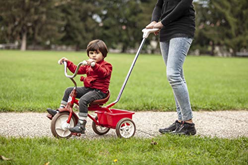 Italtrike   Triciclo Passenger da 1 a 5 anni : Giochi e giocattoli