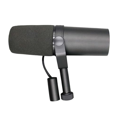 Microfono Broadcast dinamico Frequenza Applicazioni