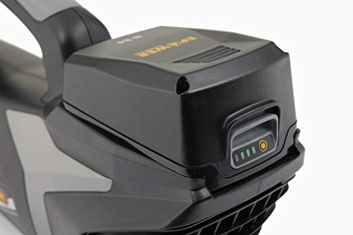 Alpina Soffiatore a Batteria ABL 20 Li Kit, per un Giardino Pulito e in Ordine, Batteria 20V (4 Ah), 280 W,Tubo Rimovibile Salvaspazio, Batteria e Caricabatteria incl. : Amazon.it: Giardino e giardinaggio